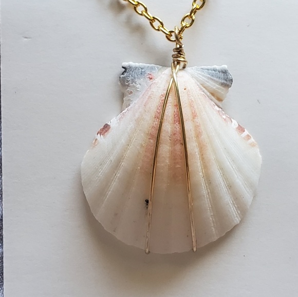 Shell Necklace - Picture 1 of 2